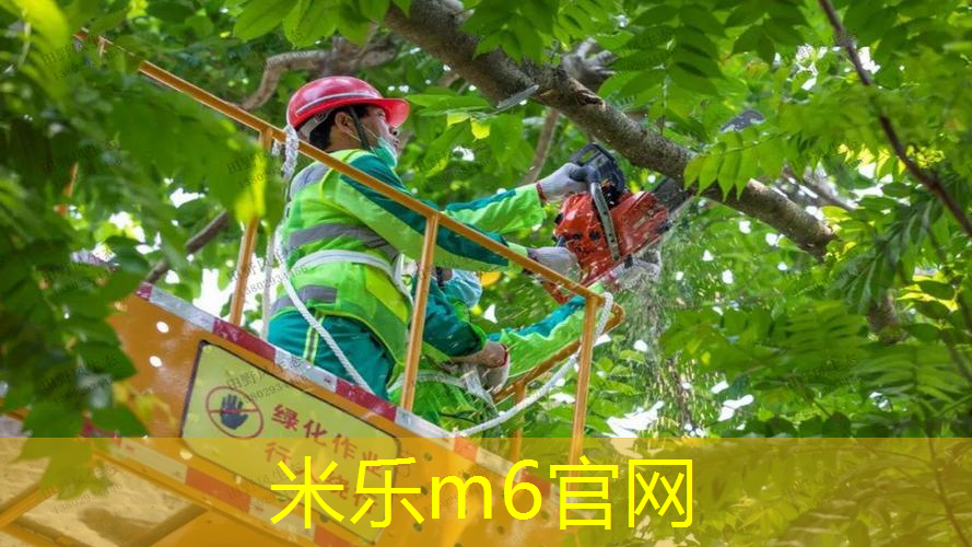 mile·米乐m6：网球拍单人训练器打脸上