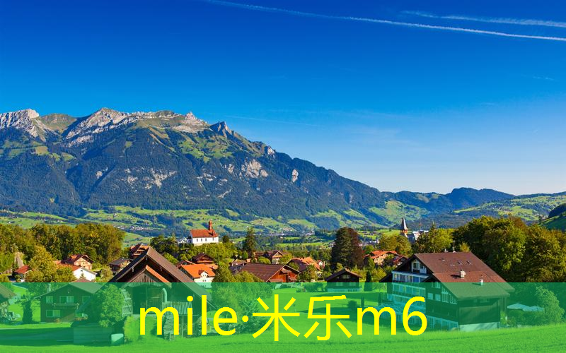 mile·米乐m6：网球拍上的胶圈叫什么