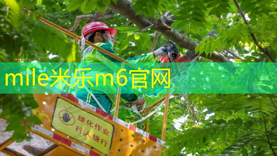 mile米乐m6官网：鹿泉有没有穿网球拍的地方