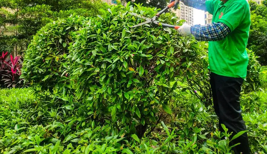 mile米乐m6官网：网球拍是什么物体的组成