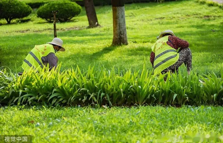 米乐m6官网登录入口：儿童篮球配合器材