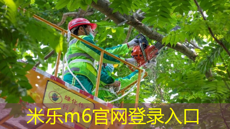mile米乐m6官网：室内有氧健身操爱跳操的兵
