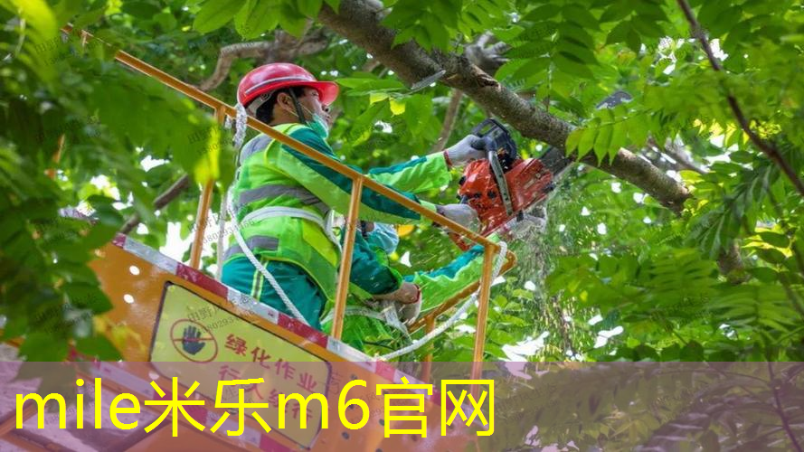 乒乓球台被无数次击打怎么办