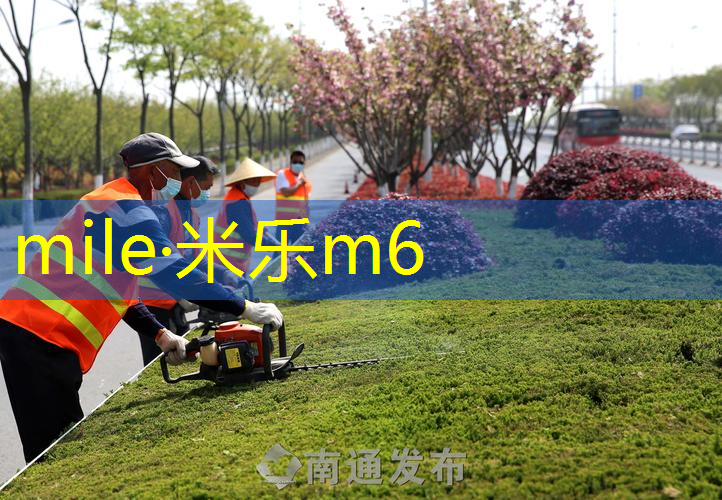 网球拍回弹器的作用和用法