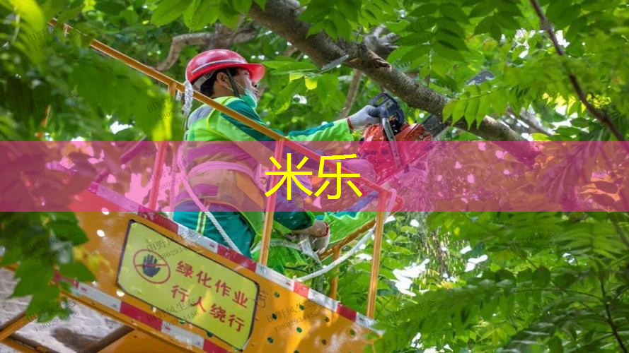 网球拍单人训练器打脸上