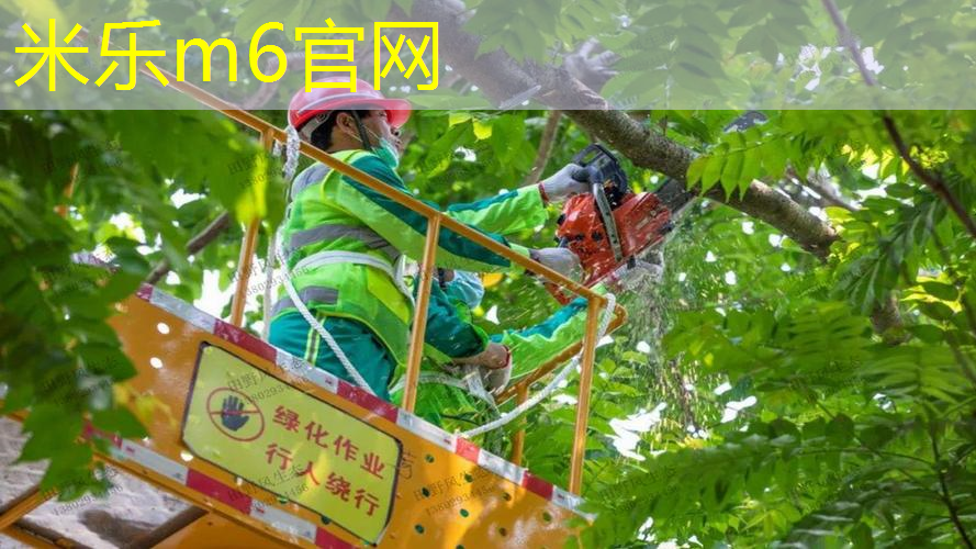 碳钢网球拍的寿命是多久