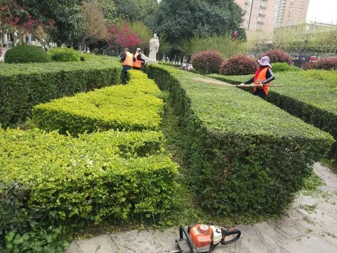 网球拍挂墙上好看吗_