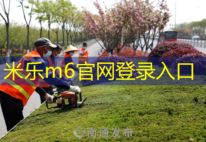 幼儿园足球器材有哪些种类的