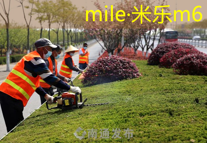 乒乓球台是否有弹性