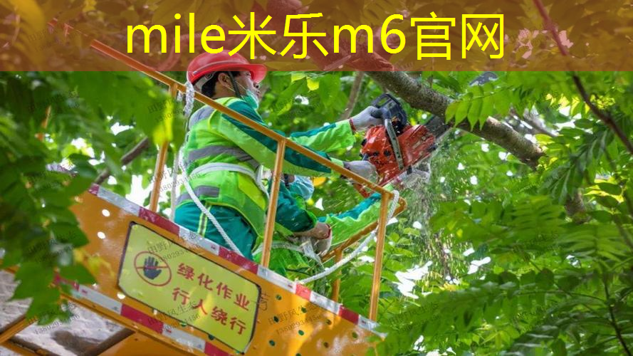 室内有氧健身操爱跳操的兵