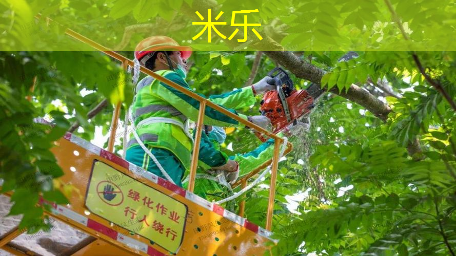 乒乓球台被无数次击打怎么办